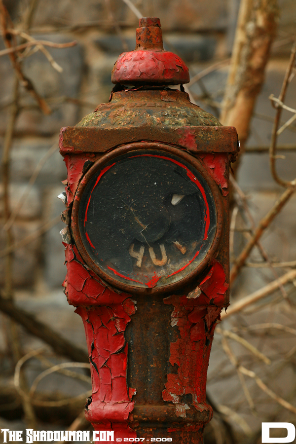 Click here to go to the Gallery containing this image