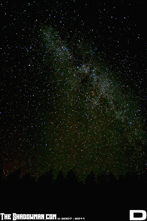 Click here to go to the Gallery containing this image