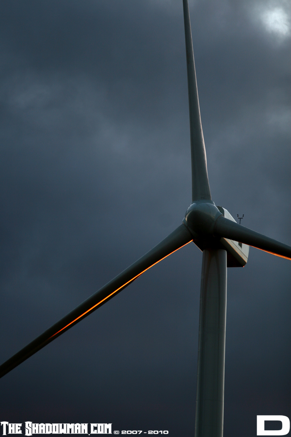 Click here to go to the Gallery containing this image