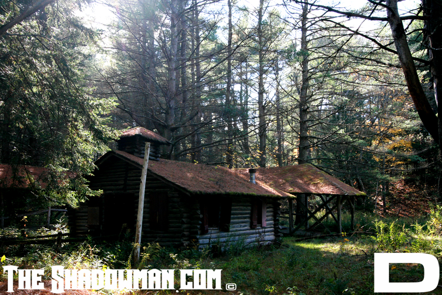 Click here to go to the Gallery containing this image