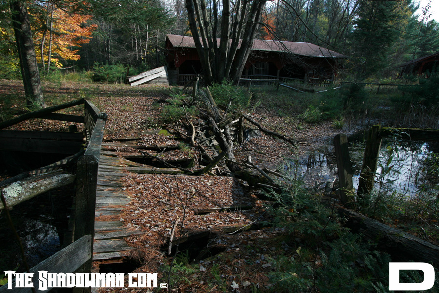 Click here to go to the Gallery containing this image