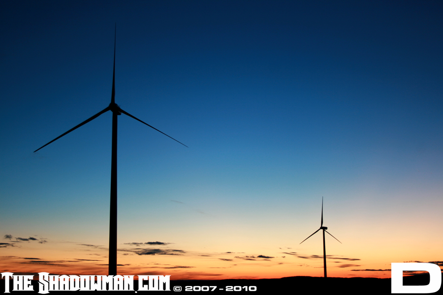 Click here to go to the Gallery containing this image