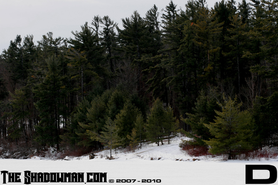 Click here to go to the Gallery containing this image