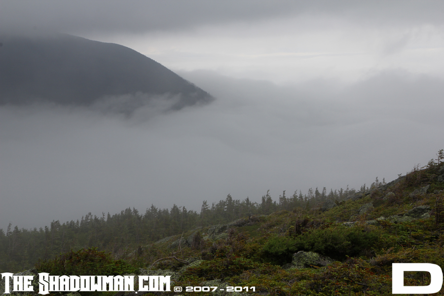 Click here to go to the Gallery containing this image