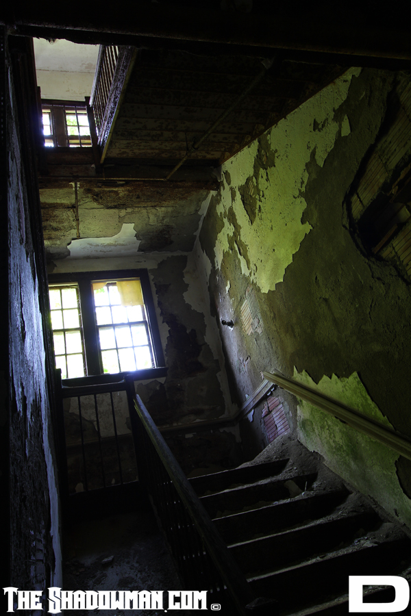 Click here to go to the Gallery containing this image