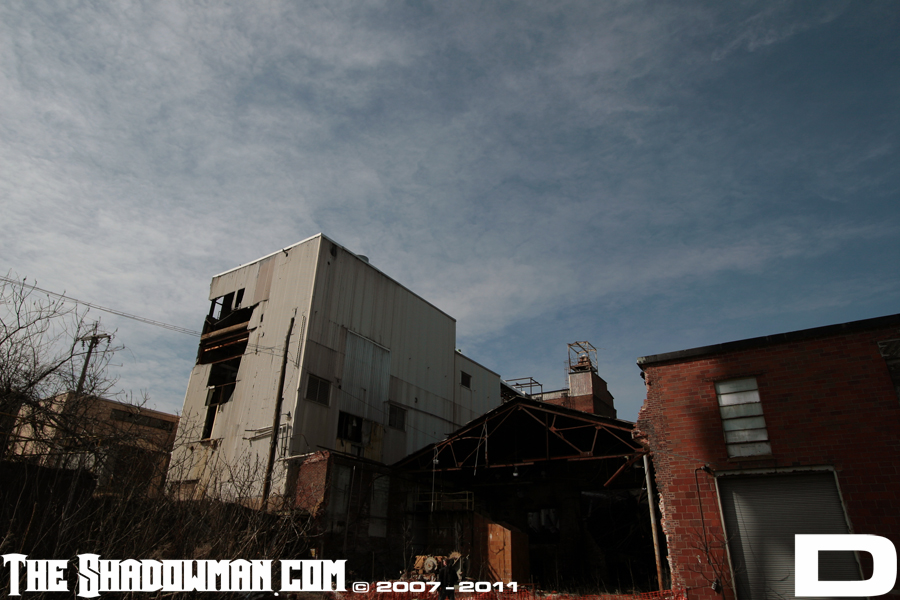 Click here to go to the Gallery containing this image