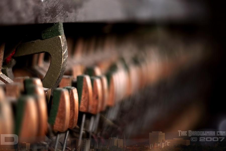 Click here to go to the Gallery containing this image