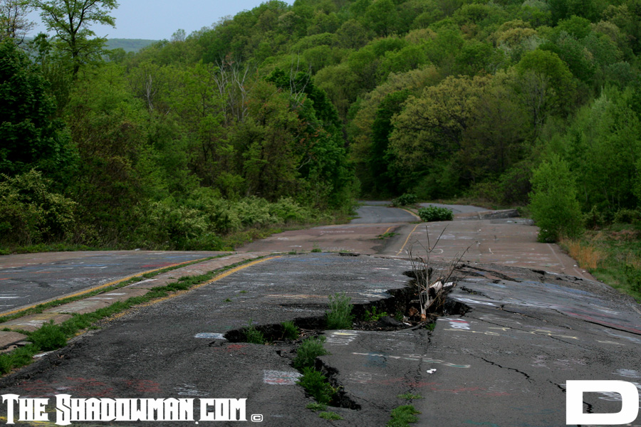 Click here to go to the Gallery containing this image