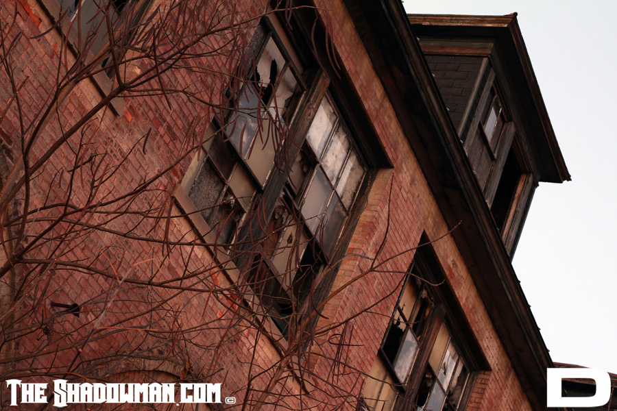 Click here to go to the Gallery containing this image