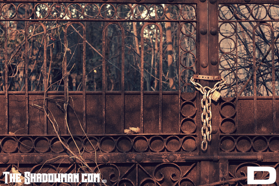 Click here to go to the Gallery containing this image