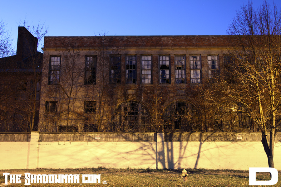 Click here to go to the Gallery containing this image