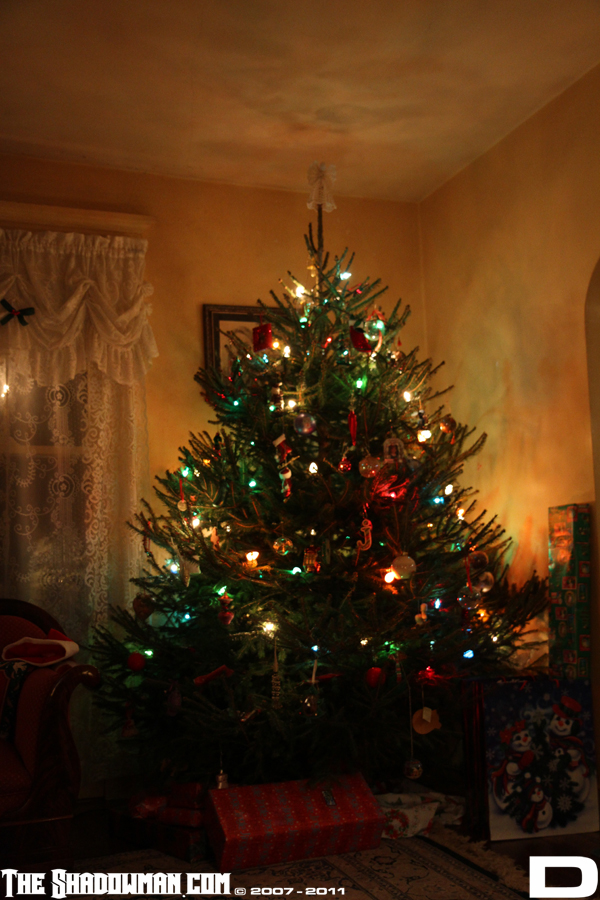 Click here to go to the Gallery containing this image