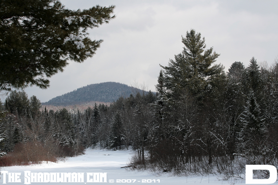 Click here to go to the Gallery containing this image