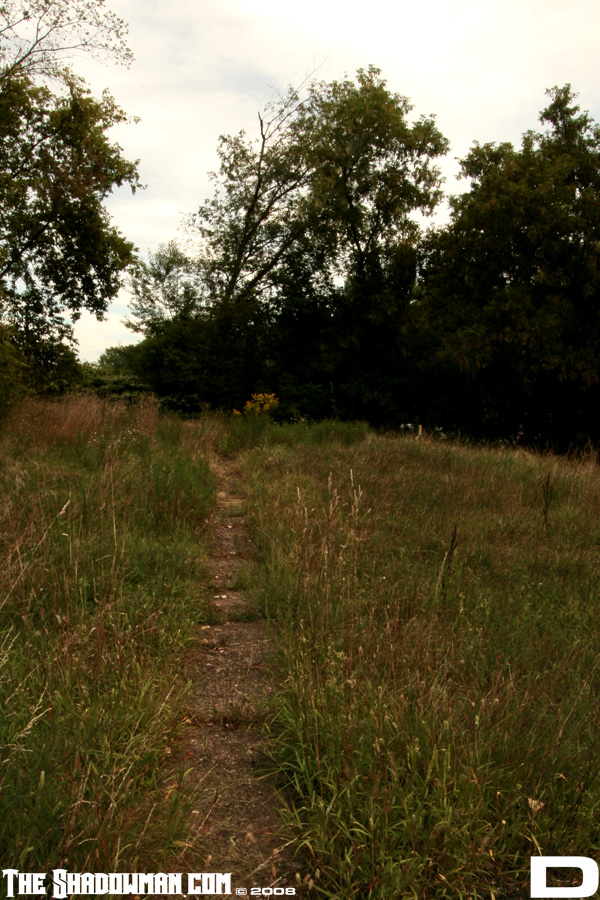 Click here to go to the Gallery containing this image