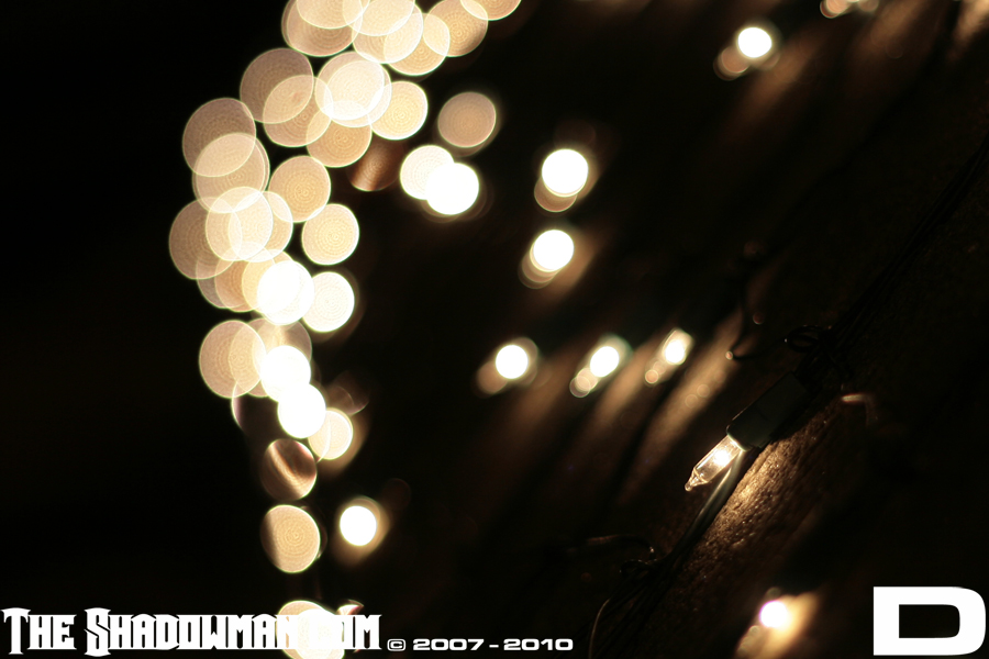 Click here to go to the Gallery containing this image