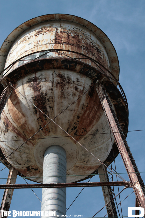 Click here to go to the Gallery containing this image