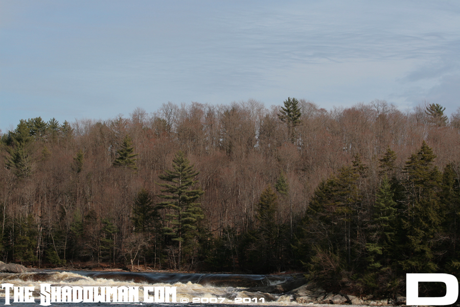 Click here to go to the Gallery containing this image