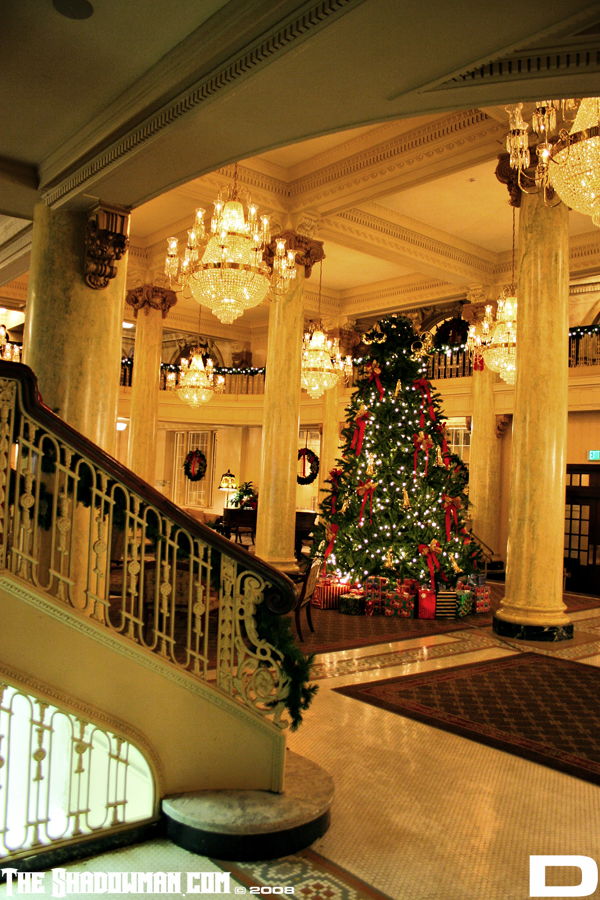 Click here to go to the Gallery containing this image