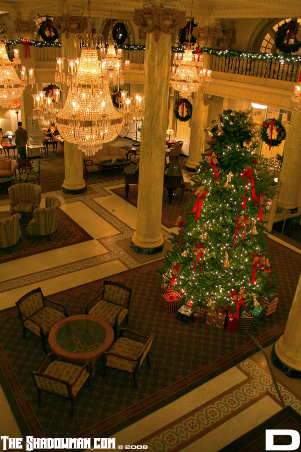 Click here to go to the Gallery containing this image