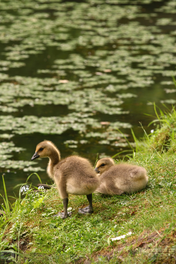 Click to visit my personal gallery