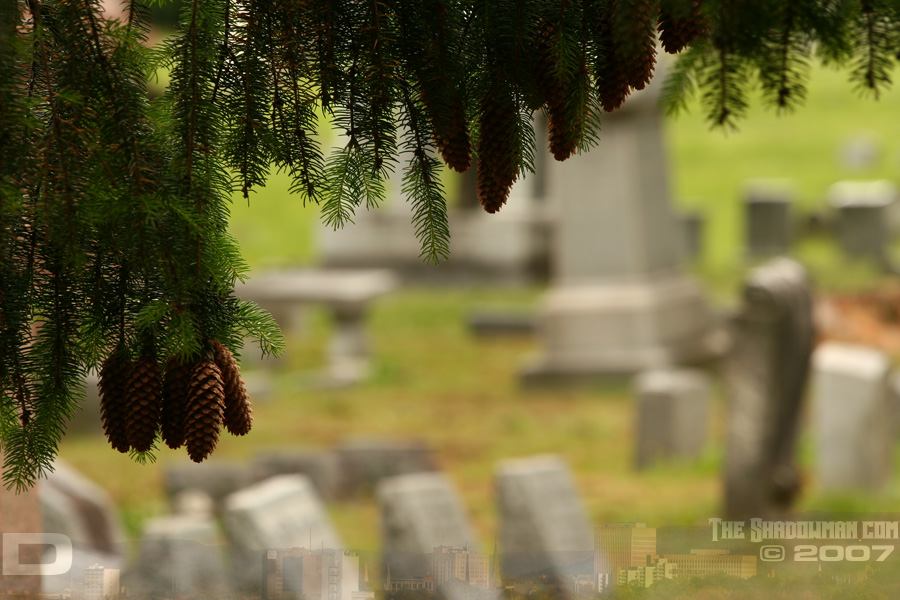 Click here to visit my online gallery