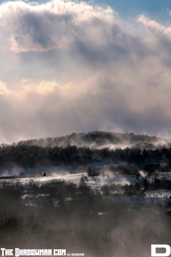 Click here to go to the Gallery containing this image