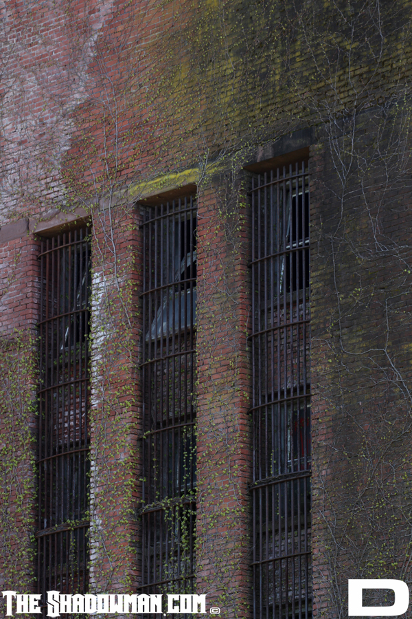 Click here to go to the Gallery containing this image