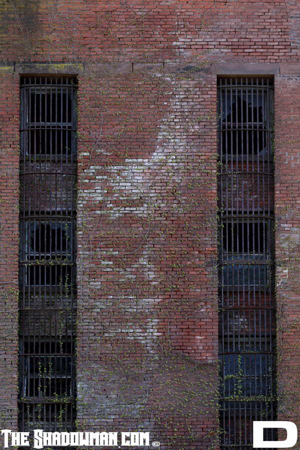 Click here to go to the Gallery containing this image