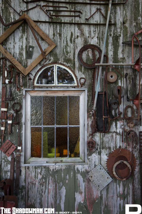 Click here to go to the Gallery containing this image