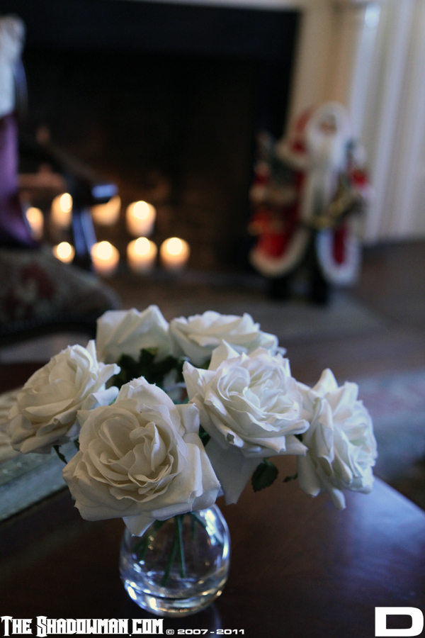 Click here to go to the Gallery containing this image