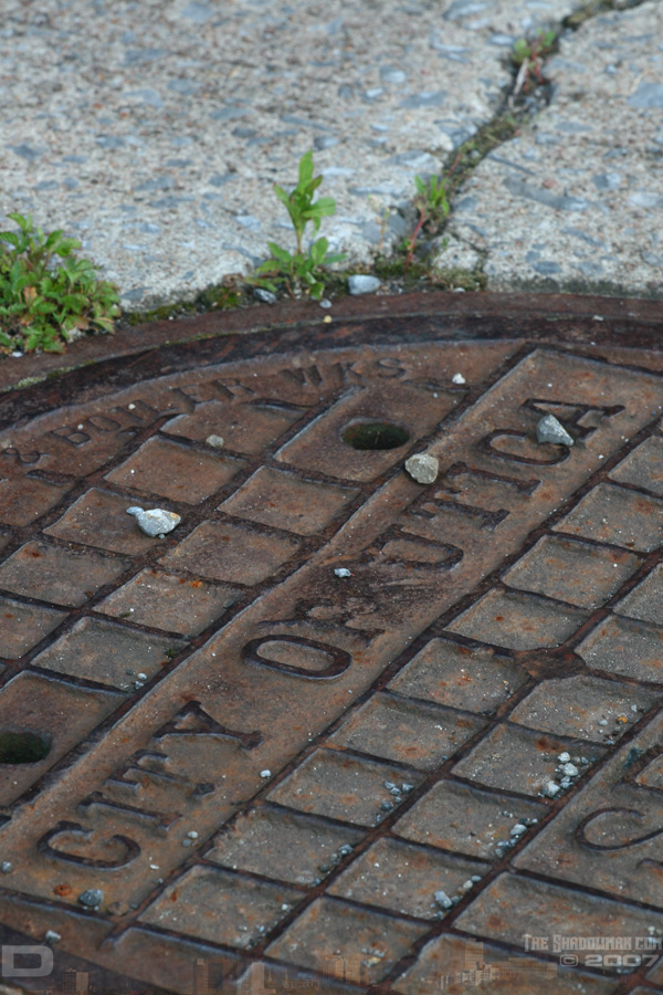 Click here to view my online photo gallery