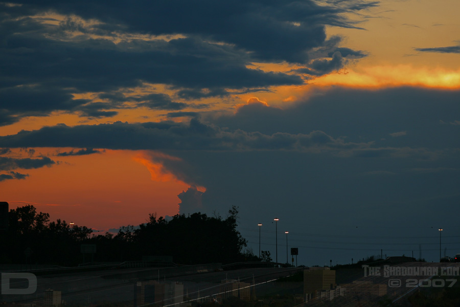 Click here to view my online gallery