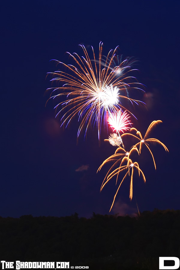 Click here to go to the Gallery containing this image