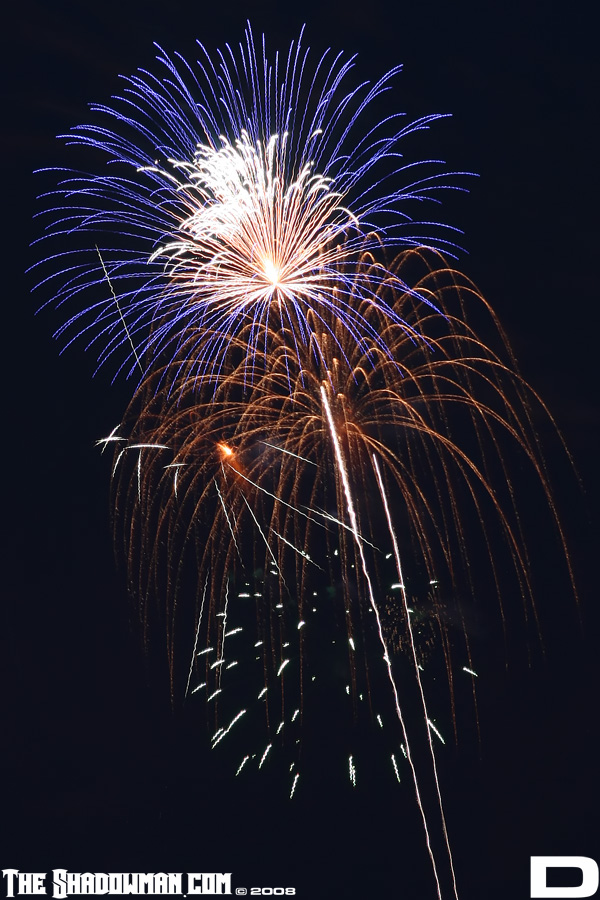 Click here to go to the Gallery containing this image