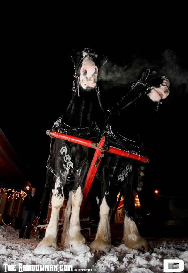 Click here to go to the Gallery containing this image