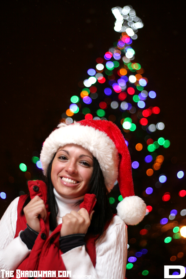 Click here to go to the Gallery containing this image