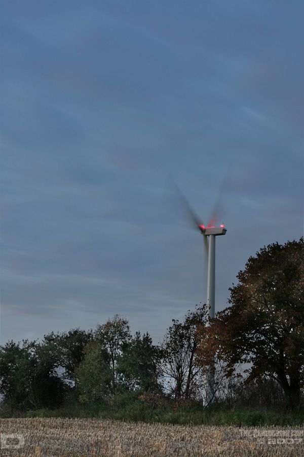 Click here to go to the Gallery containing this image