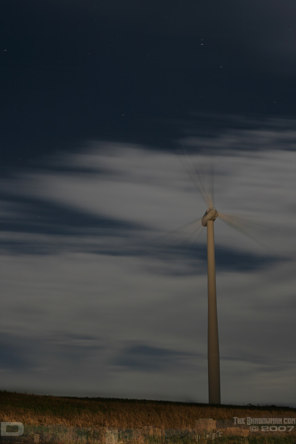 Click here to go to the Gallery containing this image