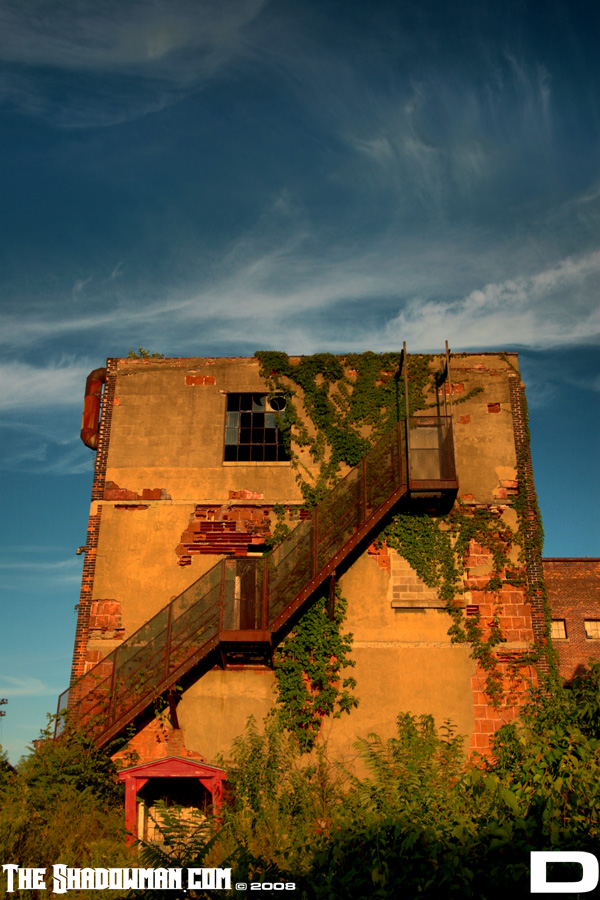 Click here to go to the Gallery containing this image