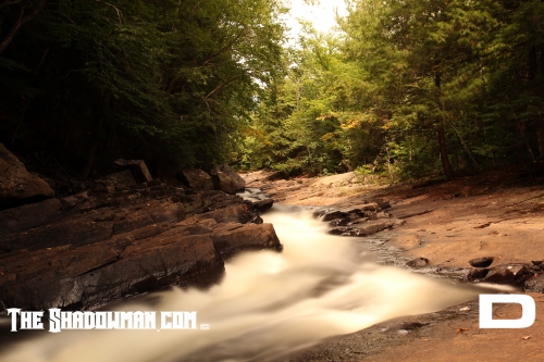 Click here for the larger image