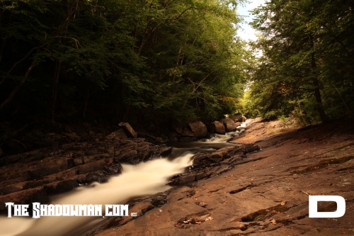 Click here for the larger image