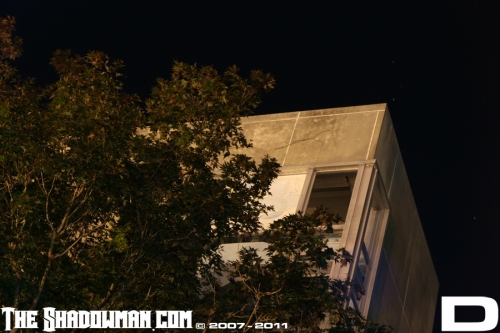 Click here to go to the Gallery containing this image