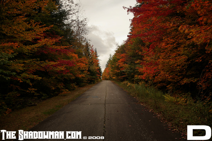 Click here to go to the Gallery containing this image