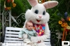 IMG_6901_copy.jpg
