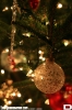 IMG_8408_copy.jpg
