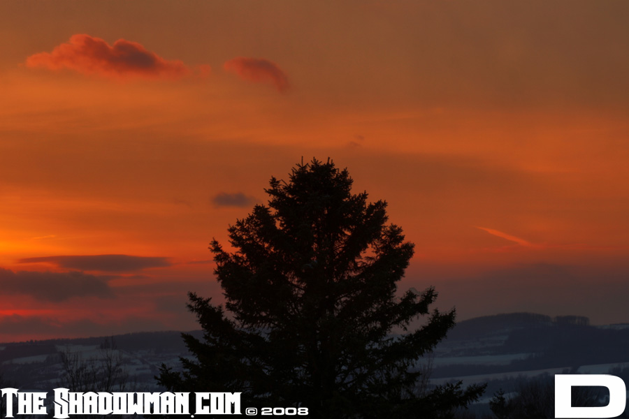 Click here to go to the Gallery containing this image