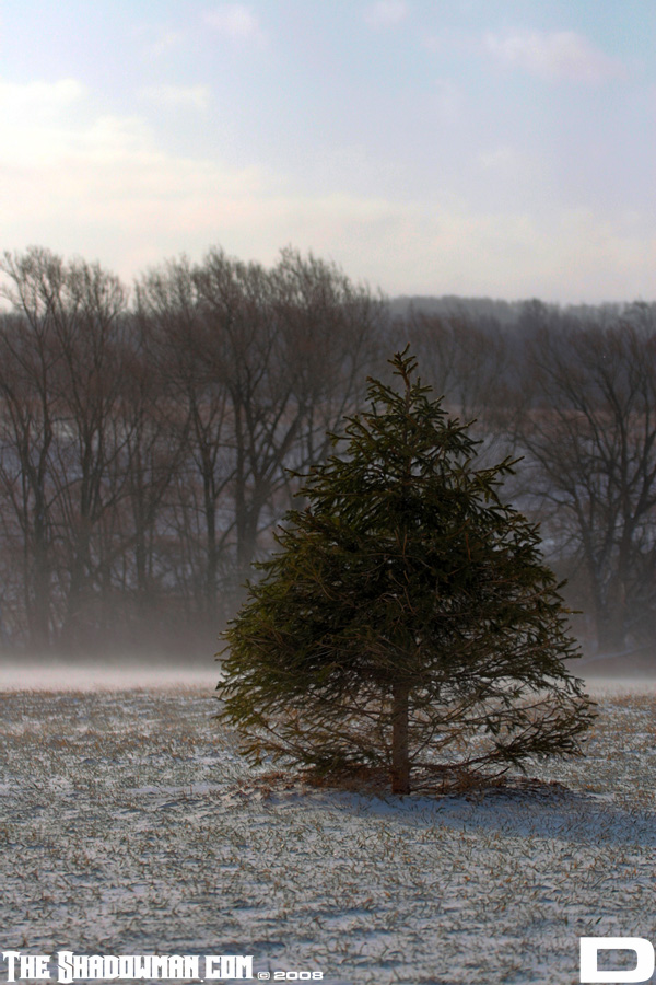 Click here to go to the Gallery containing this image