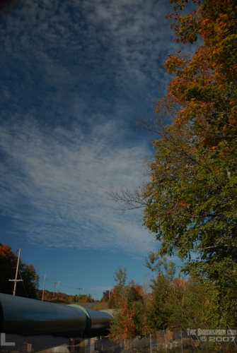 Click here to visit my online gallery