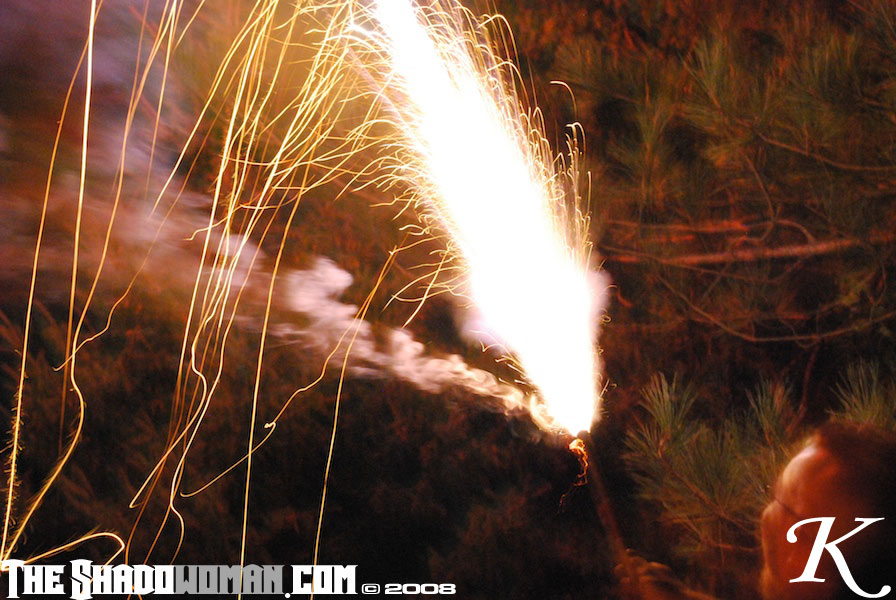 Click here to go to the Gallery containing this image