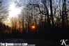 sunfall.jpg
